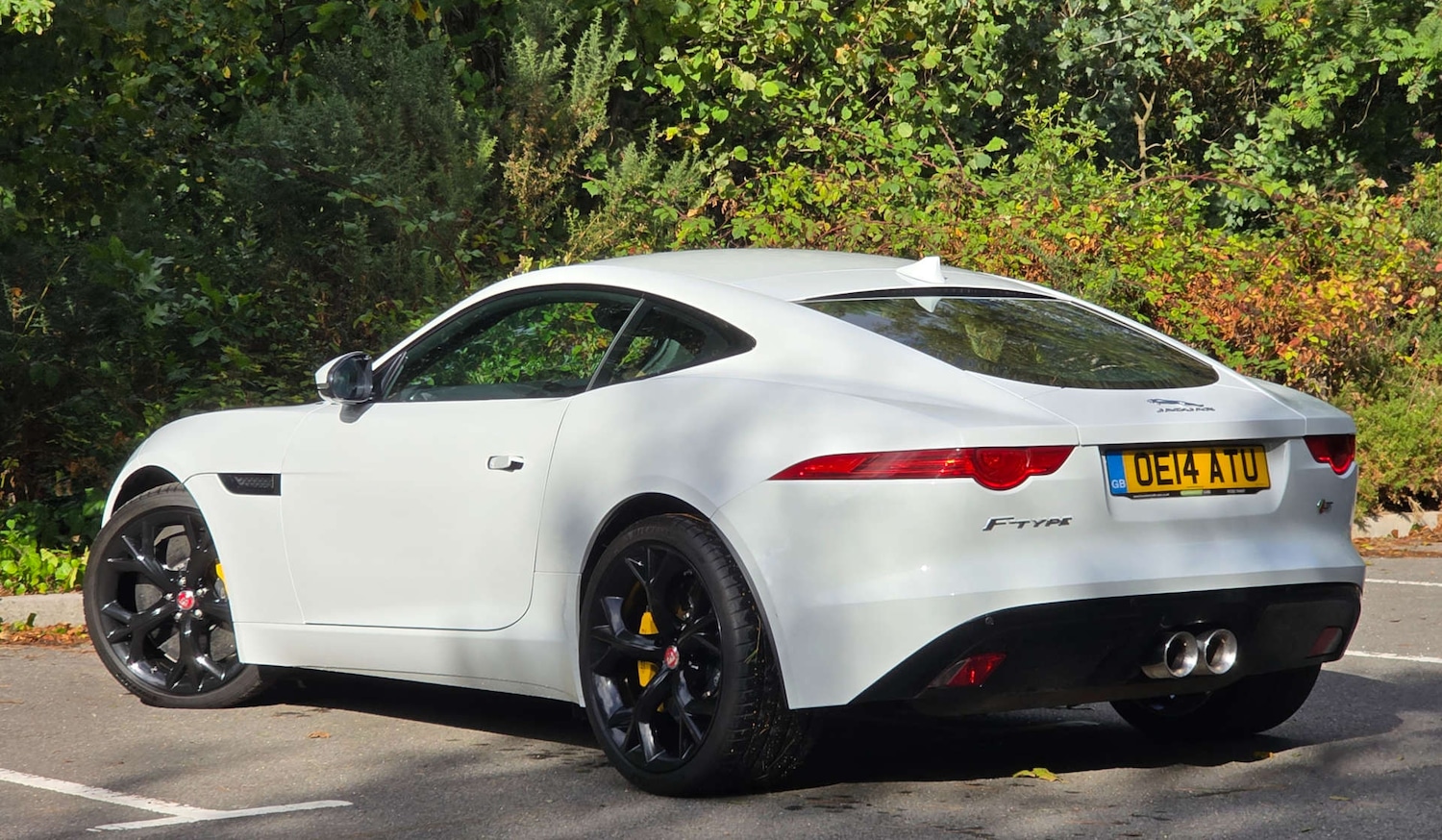 Used Jaguar F-Type 2014 for sale - 77494137: Photo 5