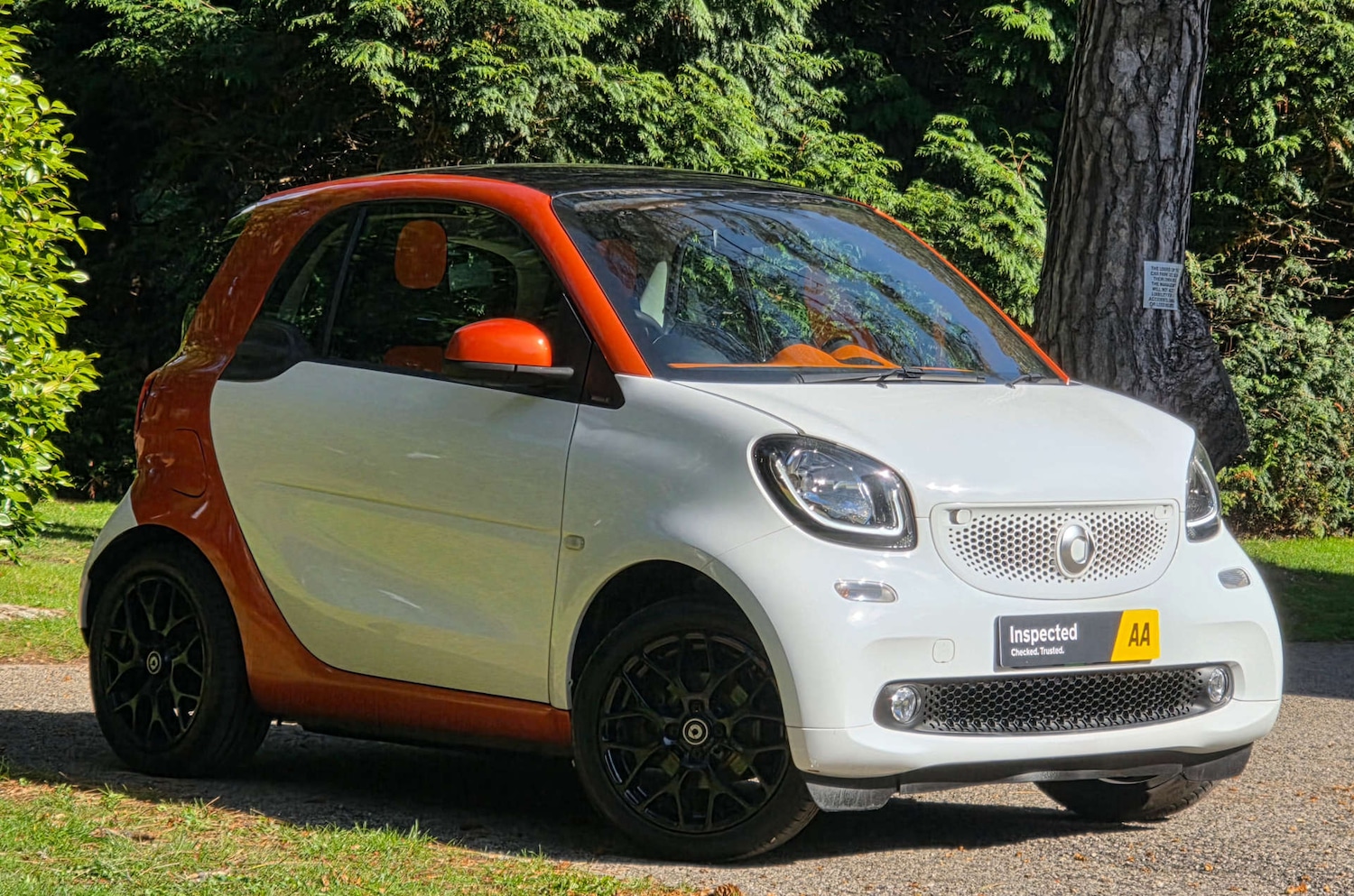 Used smart fortwo 2015 for sale - 76115713: Photo 1