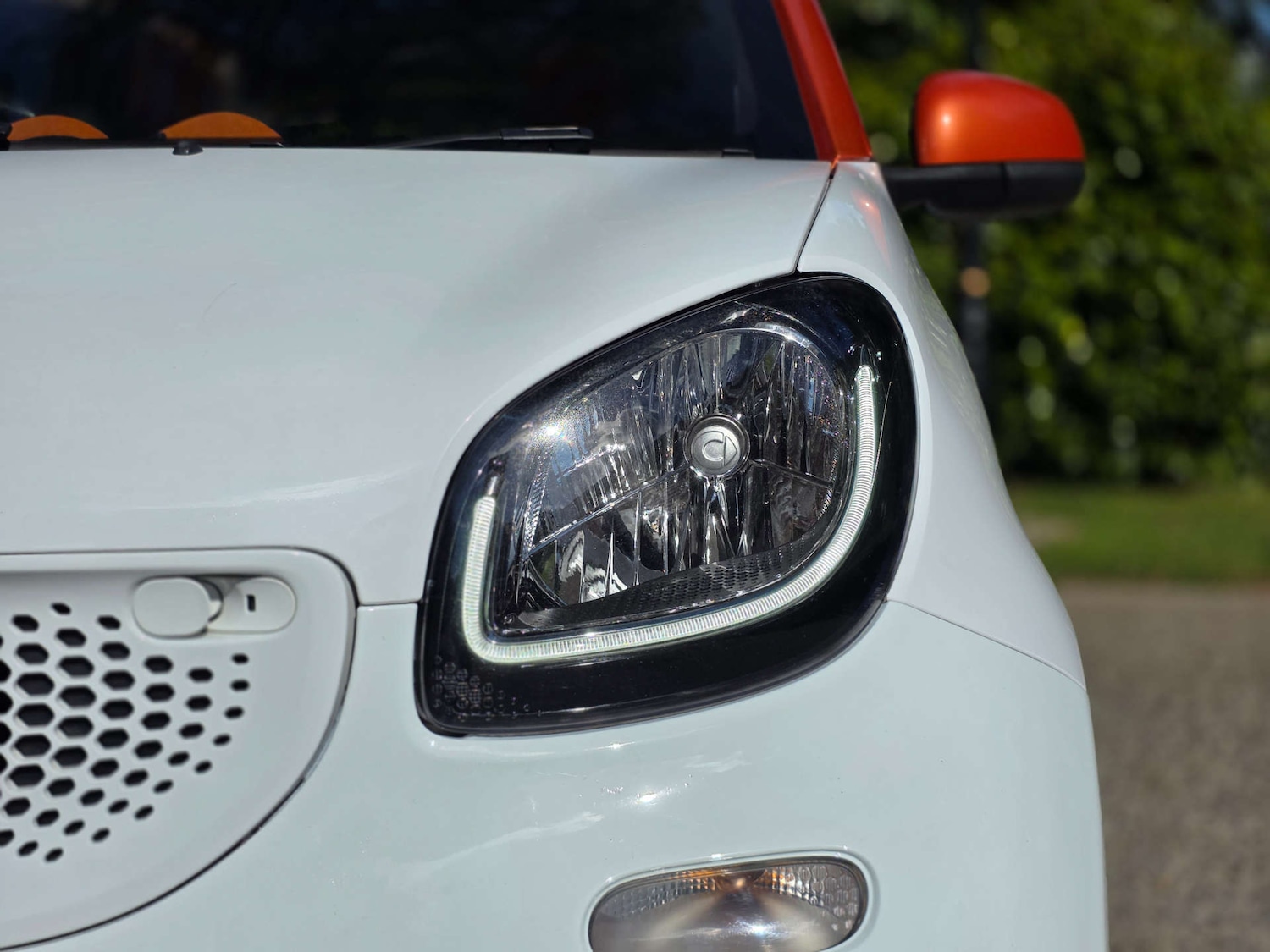 Used smart fortwo 2015 for sale - 76115713: Photo 20