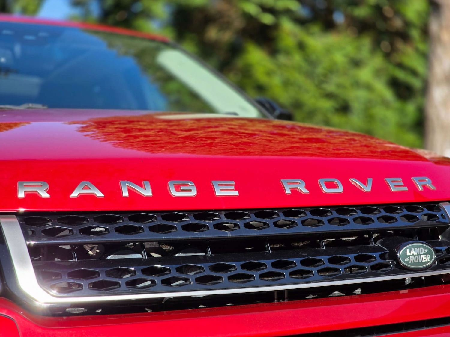 Used Land Rover Range Rover Evoque 2019 for sale - 77934076: Photo 59