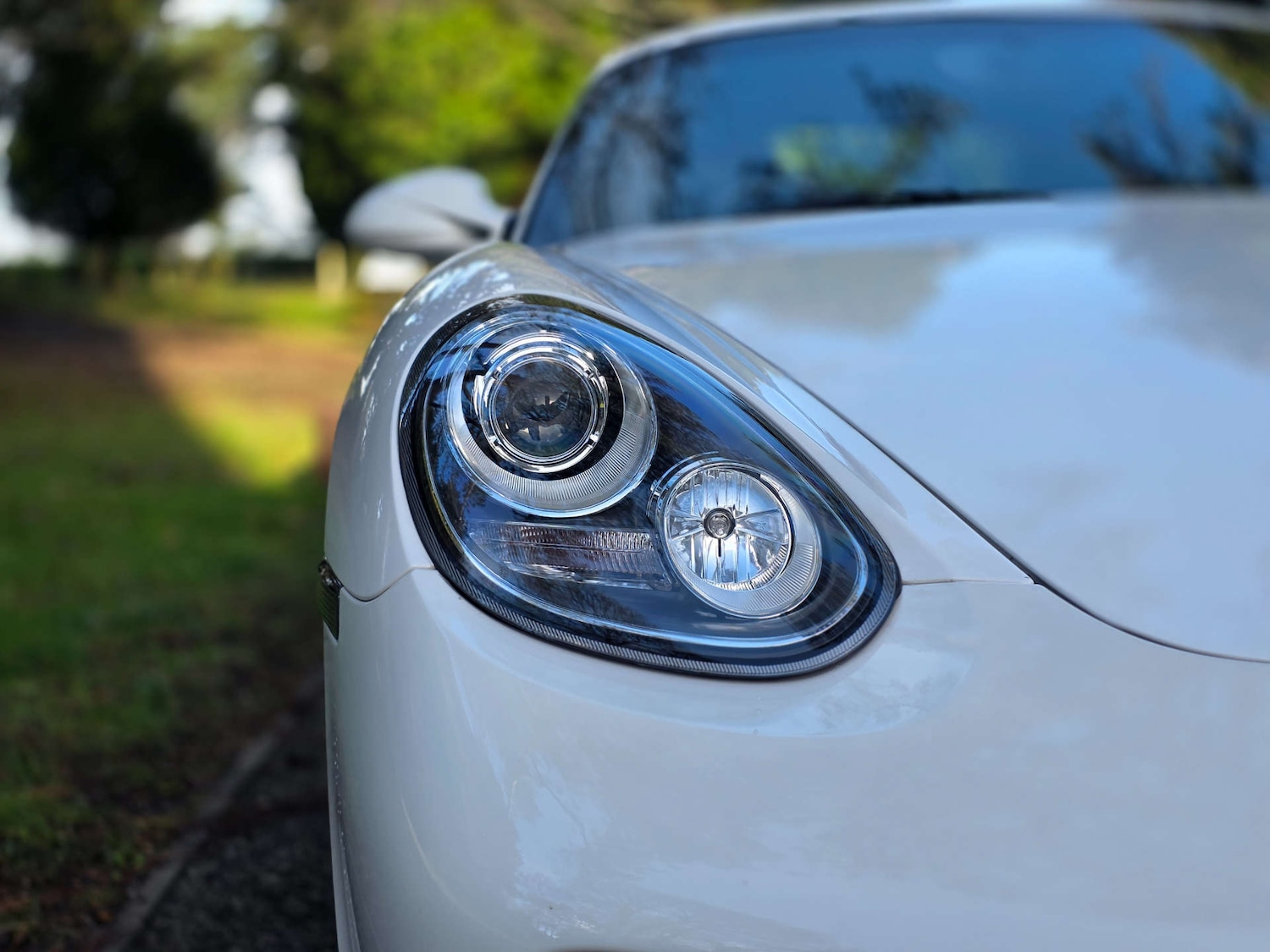 Used Porsche Cayman 2010 for sale - 76985171: Photo 10