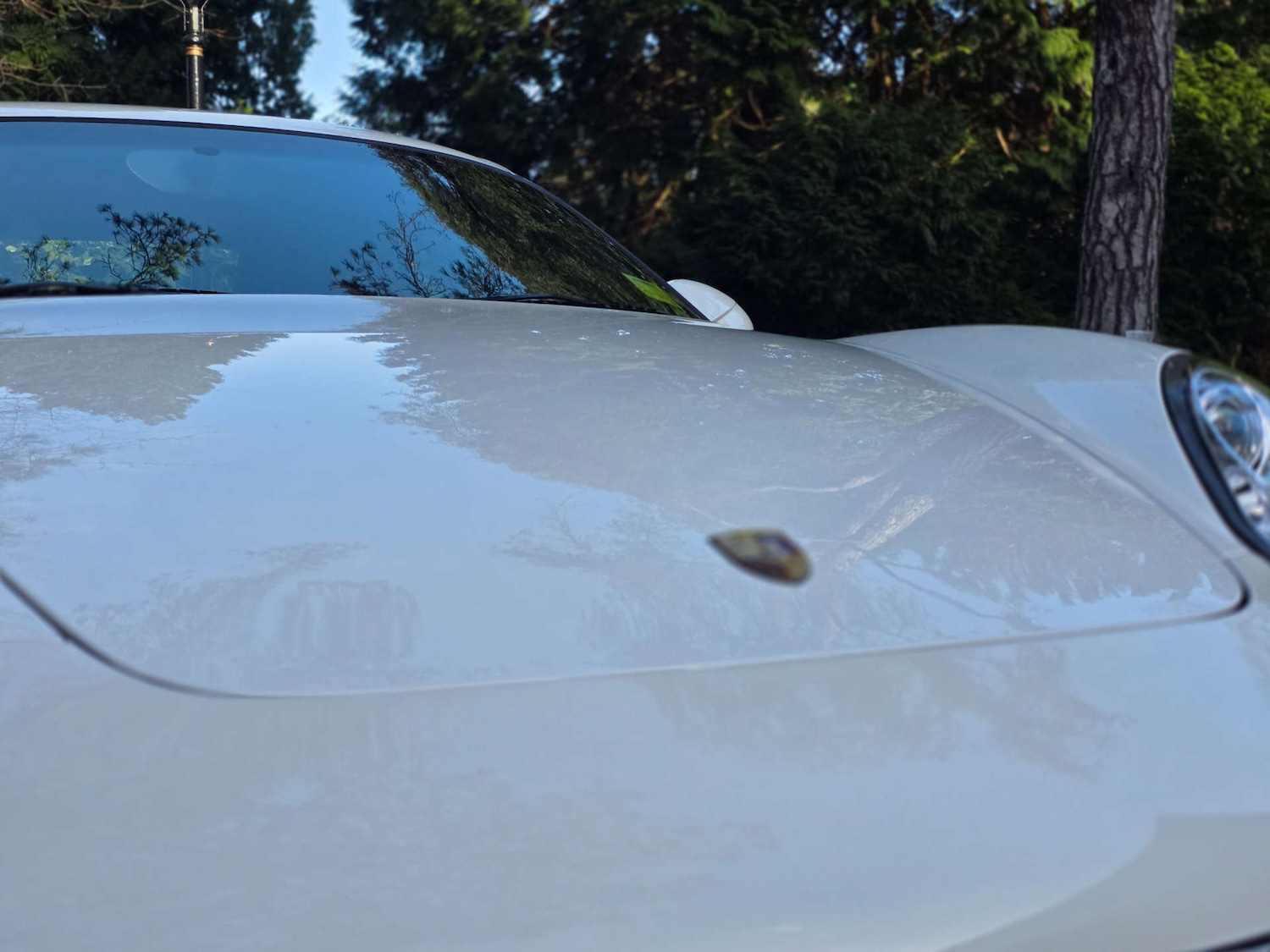 Used Porsche Cayman 2010 for sale - 76985171: Photo 13