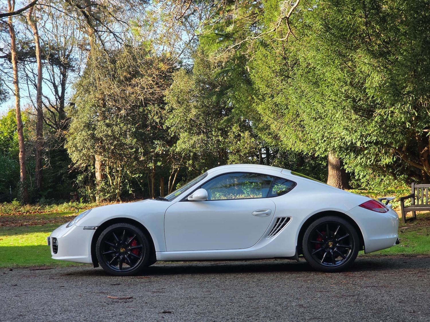 Used Porsche Cayman 2010 for sale - 76985171: Photo 3