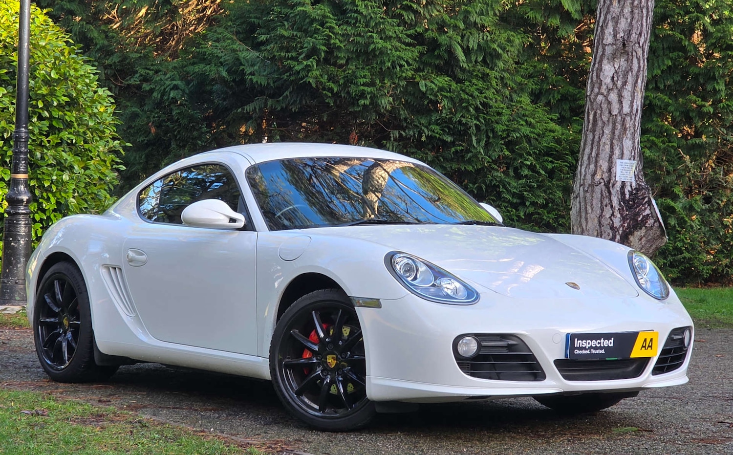 Used Porsche Cayman 2010 for sale - 76985171: Photo 43