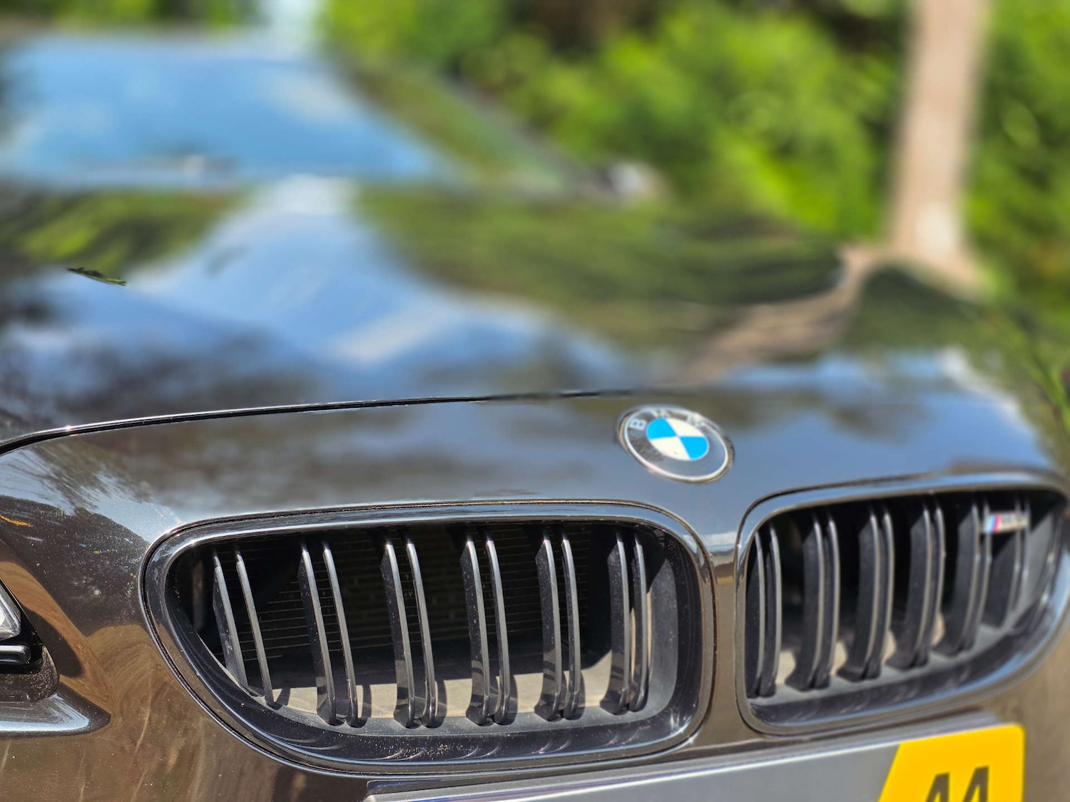 Used BMW M6 2016 for sale - 76985168: Photo 41