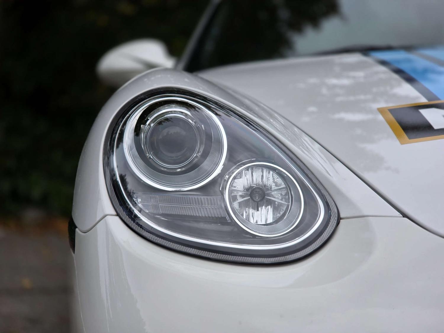 Used Porsche Cayman 2010 for sale - 76089421: Photo 11