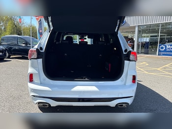 Used Ford Kuga 2020 for sale - 78385919: Photo