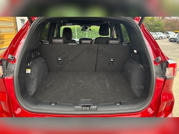 Used Ford Kuga 2021 for sale - 77432536: Photo