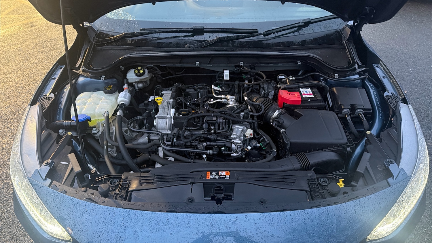 Used Ford Focus 2023 for sale - 76831544: Photo 8