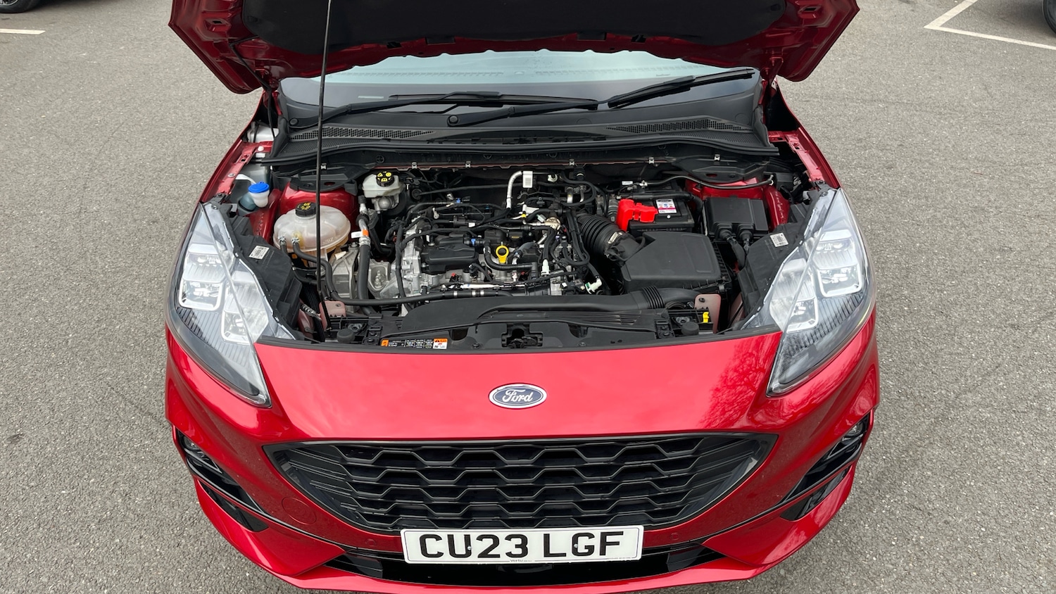 Used Ford Kuga 2023 for sale - 77990479: Photo 8