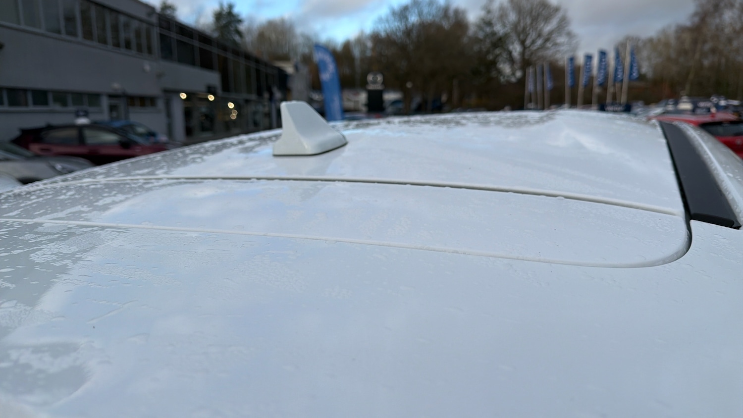 Used Ford Puma 2024 for sale - 77011674: Photo 37