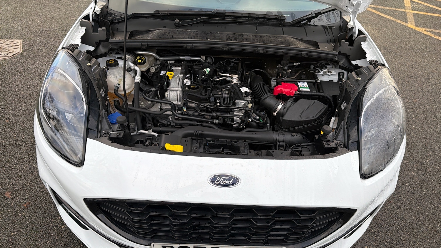 Used Ford Puma 2024 for sale - 77011674: Photo 8