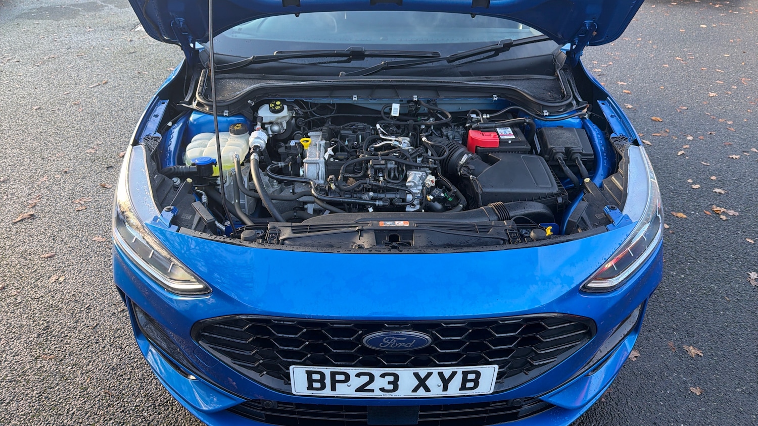 Used Ford Focus 2023 for sale - 76627897: Photo 8