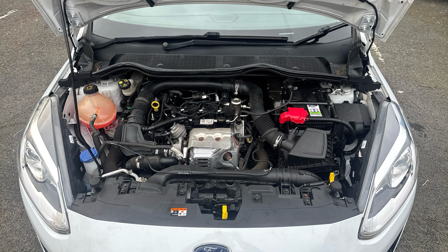 Used Ford Fiesta 2019 for sale - 77716039: Photo 8