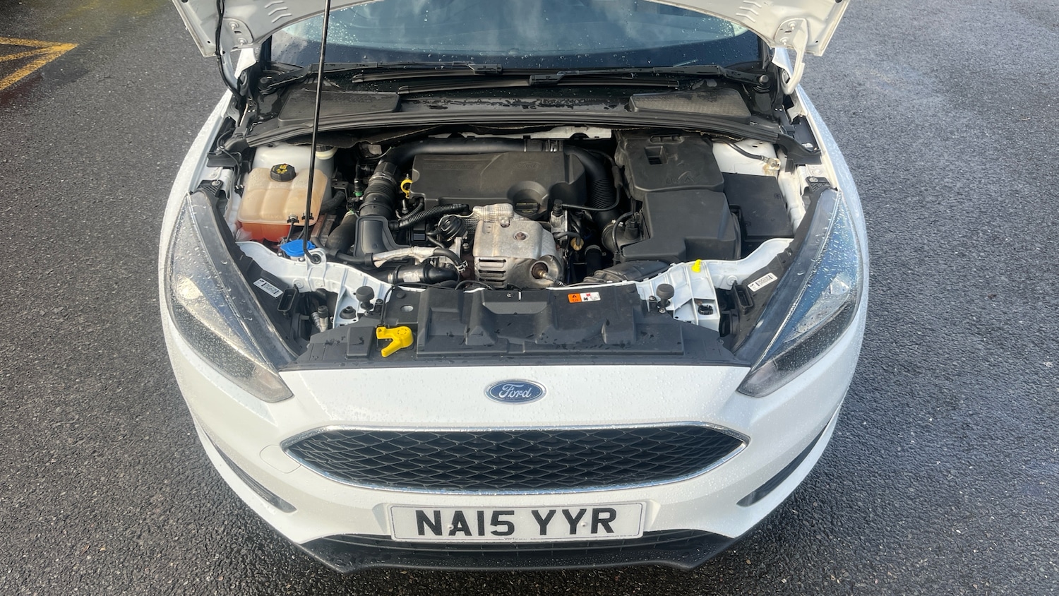 Used Ford Focus 2015 for sale - 77628800: Photo 8