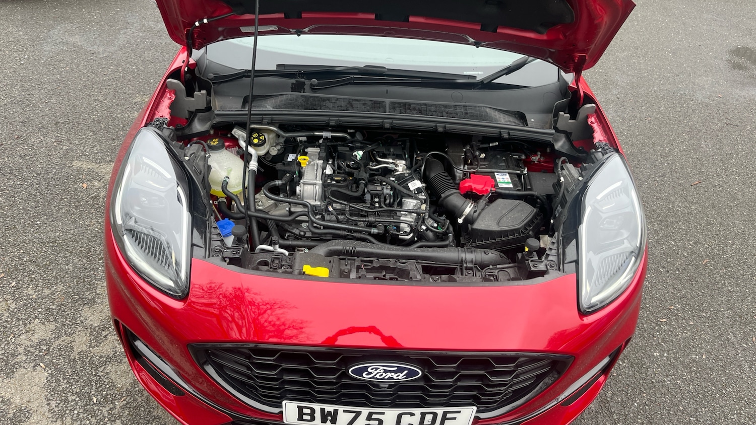 Used Ford Puma 2025 for sale - 77735497: Photo 8