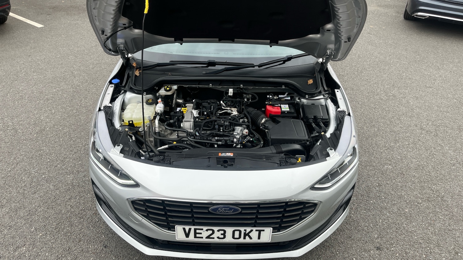 Used Ford Focus 2023 for sale - 76161831: Photo 8