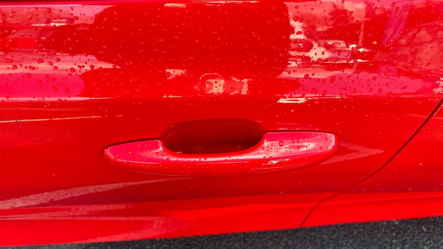 Used Ford Focus 2020 for sale - 78060411: Photo 33