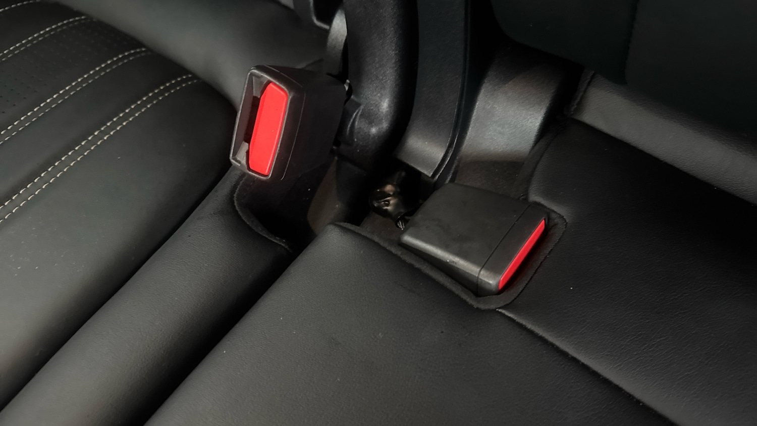 Used Ford Kuga 2024 for sale - 77450243: Photo 17