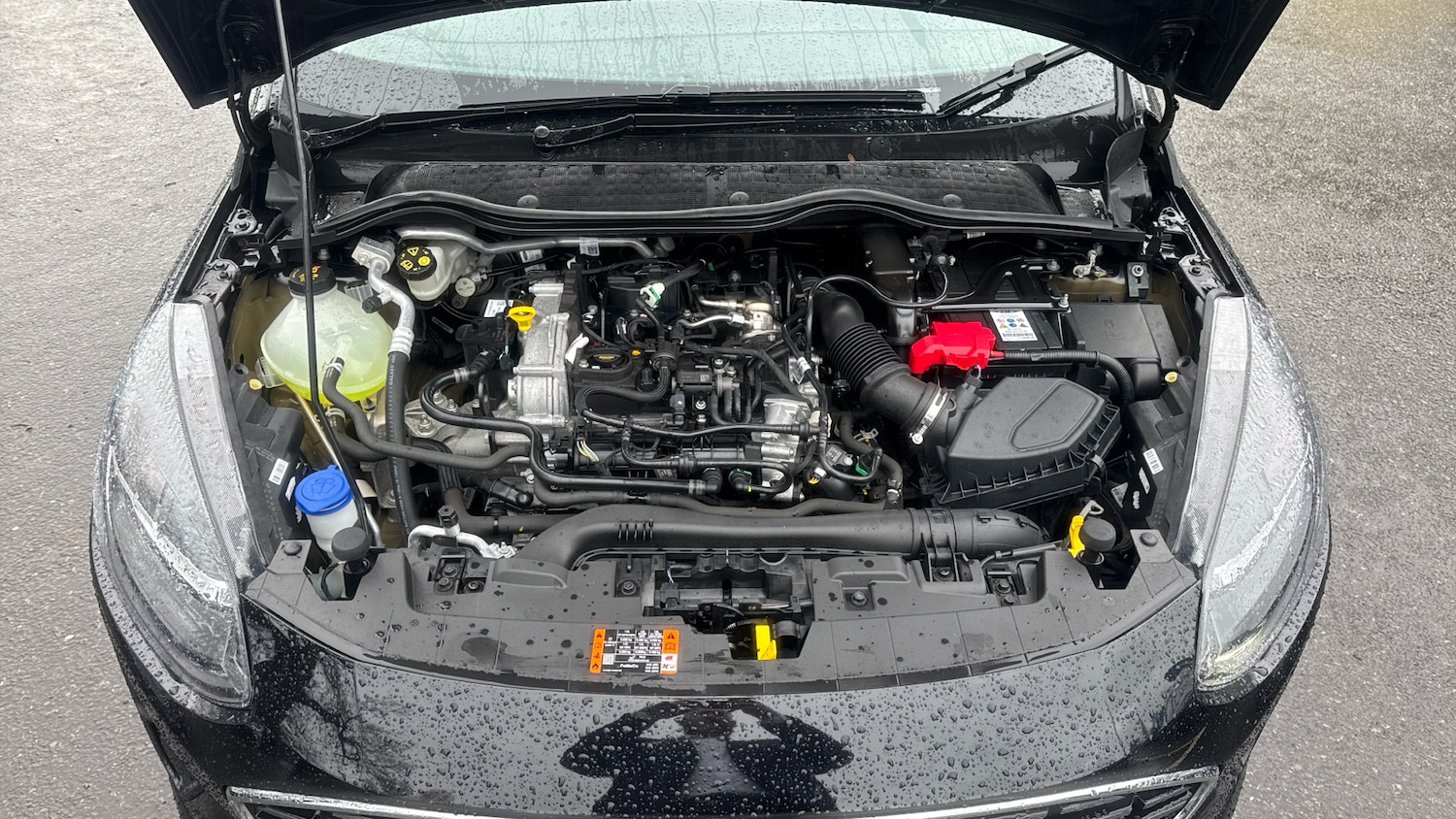 Used Ford Fiesta 2023 for sale - 77465579: Photo 8