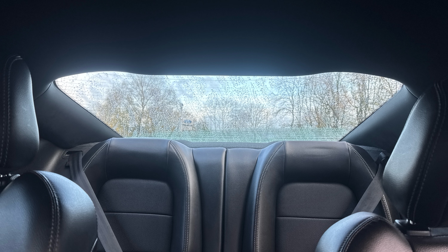 Used Ford Mustang 2022 for sale - 76627896: Photo 15