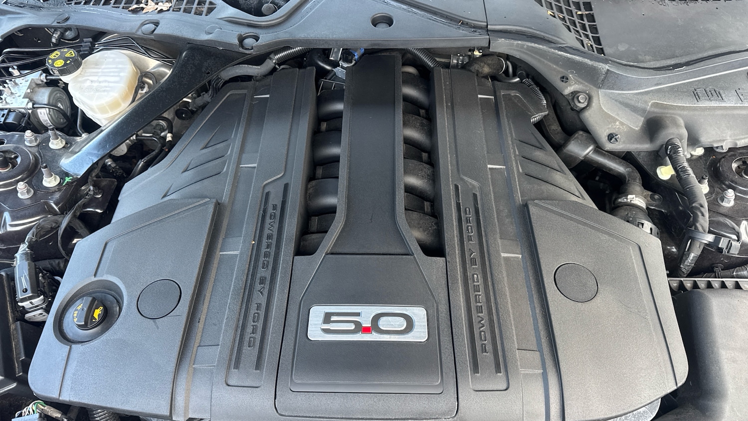 Used Ford Mustang 2022 for sale - 76627896: Photo 22