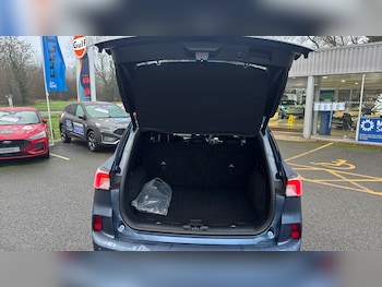 Used Ford Kuga 2024 for sale - 77023917: Photo