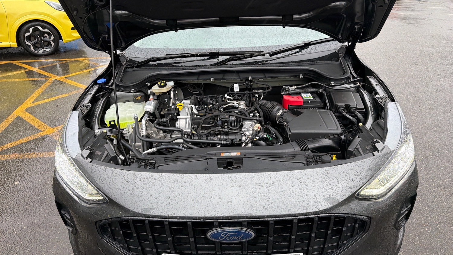 Used Ford Focus 2025 for sale - 77459646: Photo 33