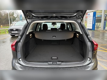 Used Ford Focus 2025 for sale - 77459646: Photo