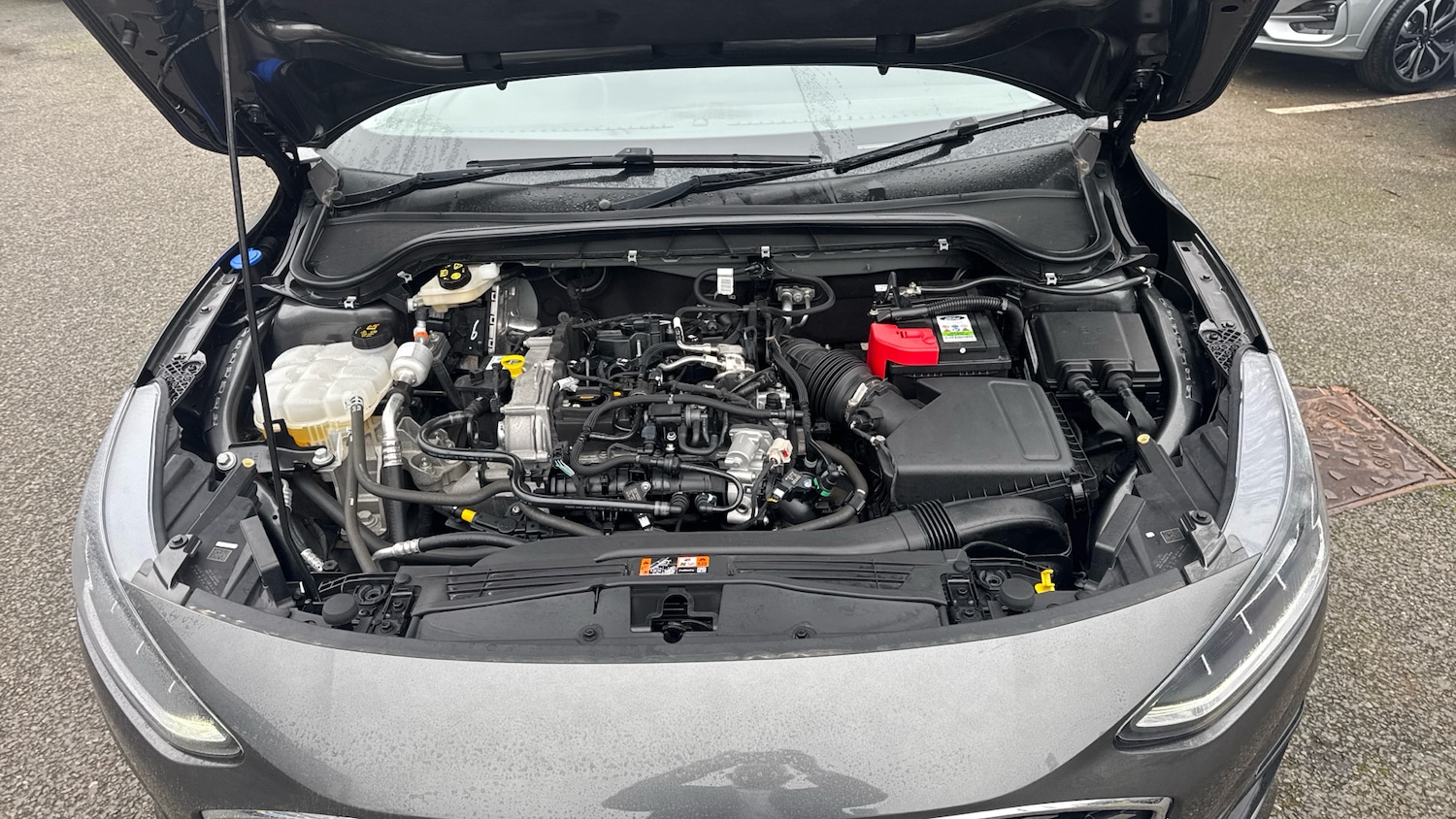 Used Ford Focus 2023 for sale - 77803089: Photo 8