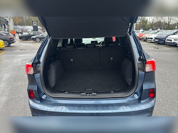 Used Ford Kuga 2023 for sale - 77273495: Photo