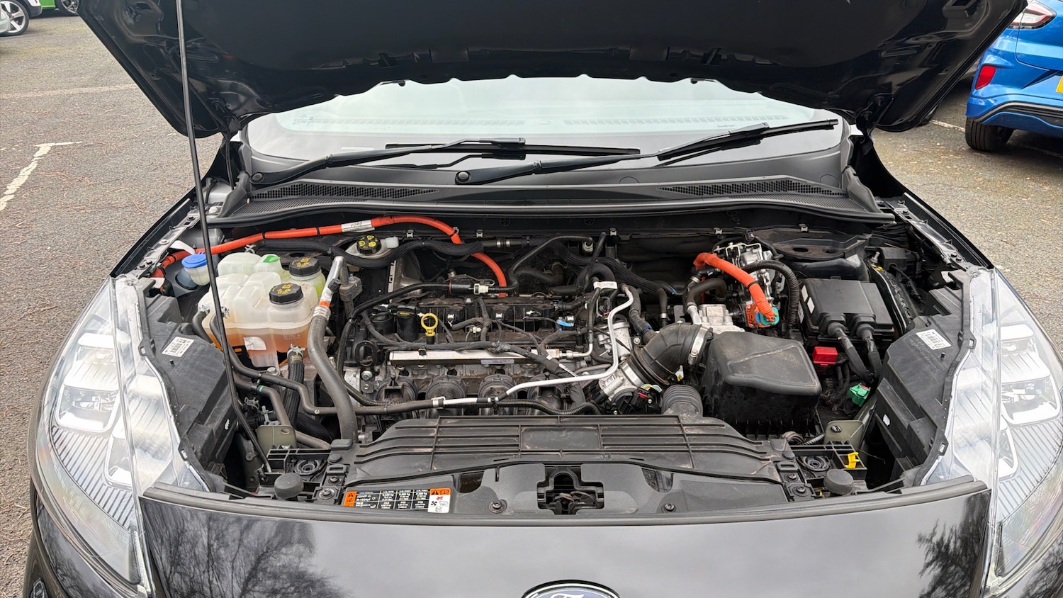 Used Ford Kuga 2023 for sale - 77718514: Photo 8