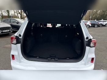 Used Ford Kuga 2023 for sale - 77847633: Photo