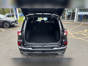 Used Ford Kuga 2024 for sale - 78109124: Photo