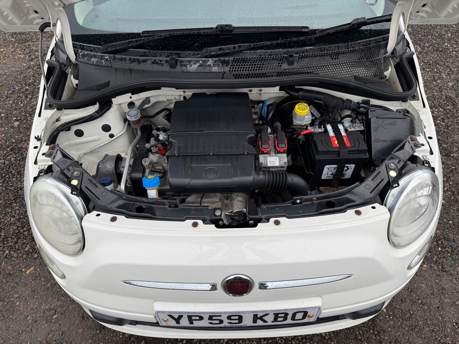 Used Fiat 500 2009 for sale - 77289561: Photo 23