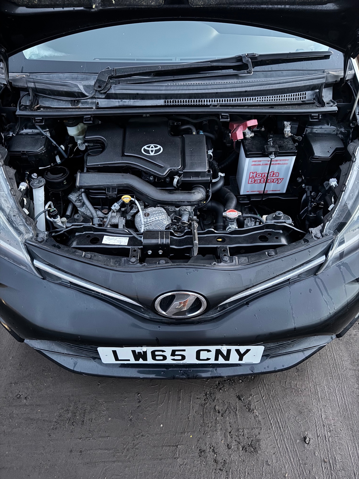 Used Toyota Vitz 2025 for sale - 77051749: Photo 23