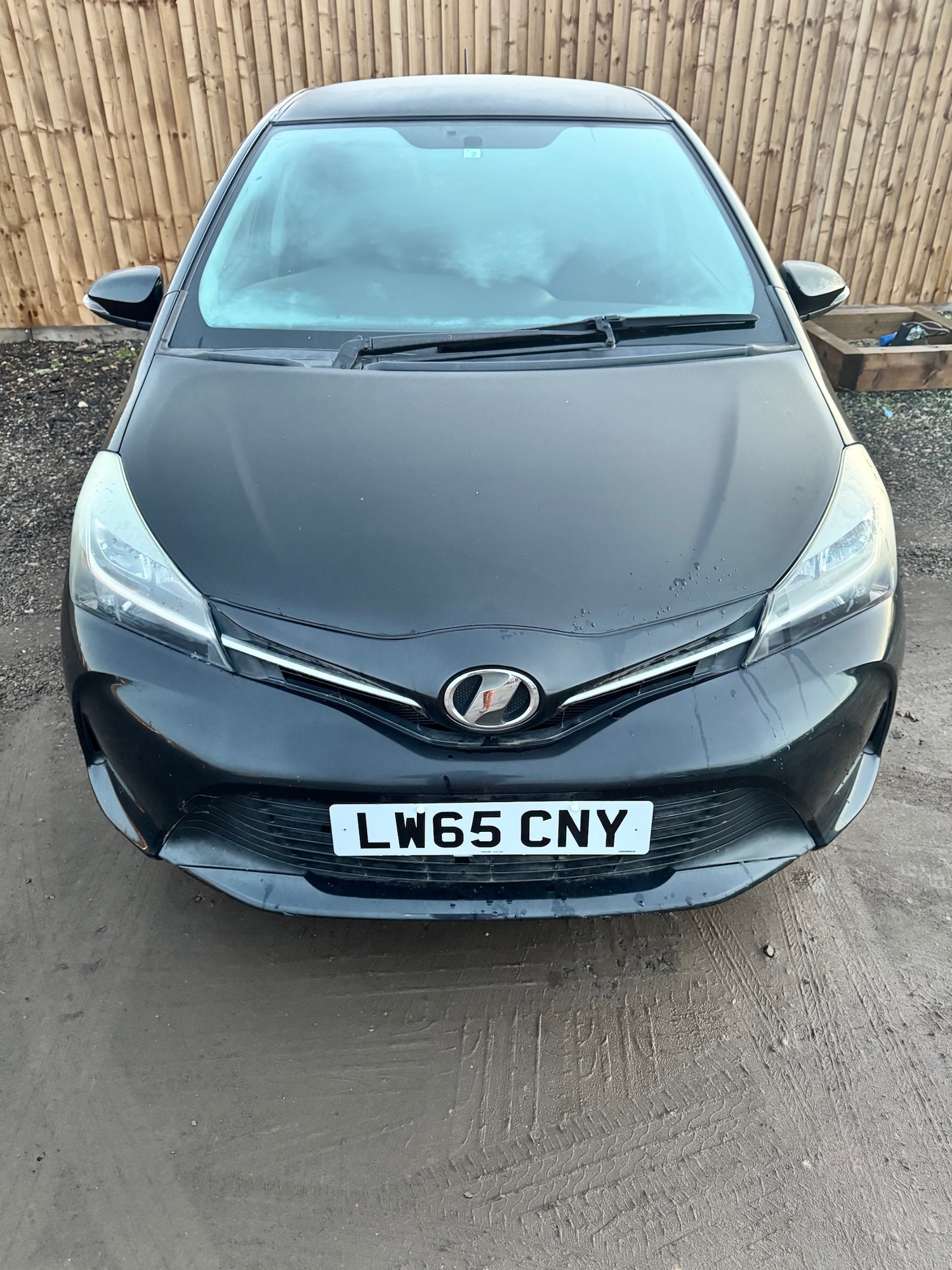 Used Toyota Vitz 2025 for sale - 77051749: Photo 3