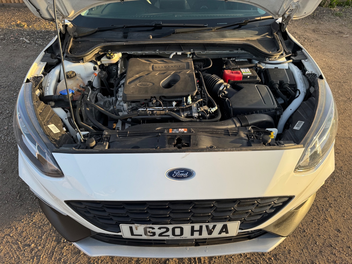 Used Ford Focus 2020 for sale - 78141941: Photo 23