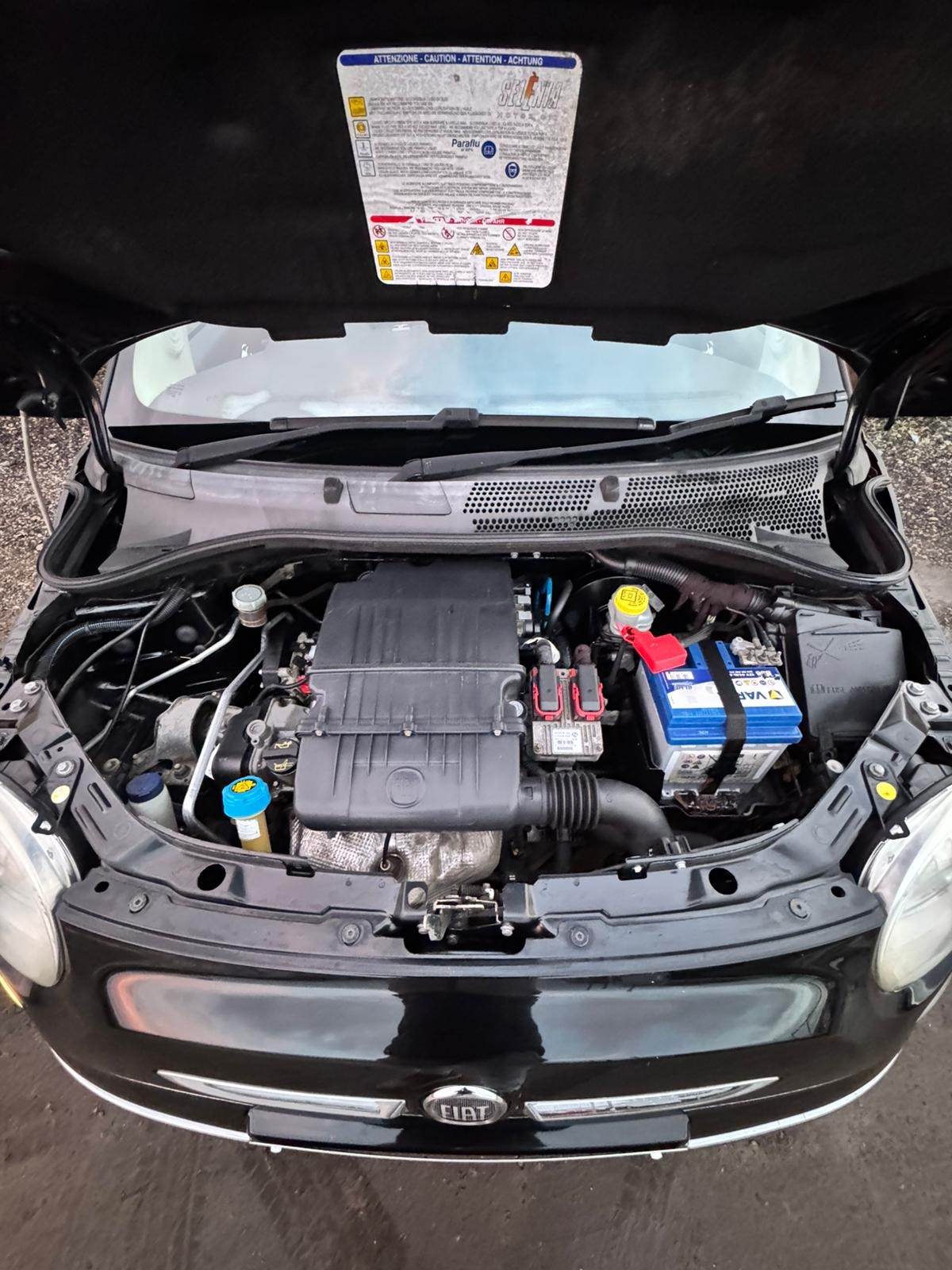 Used Fiat 500 2009 for sale - 76726145: Photo 24