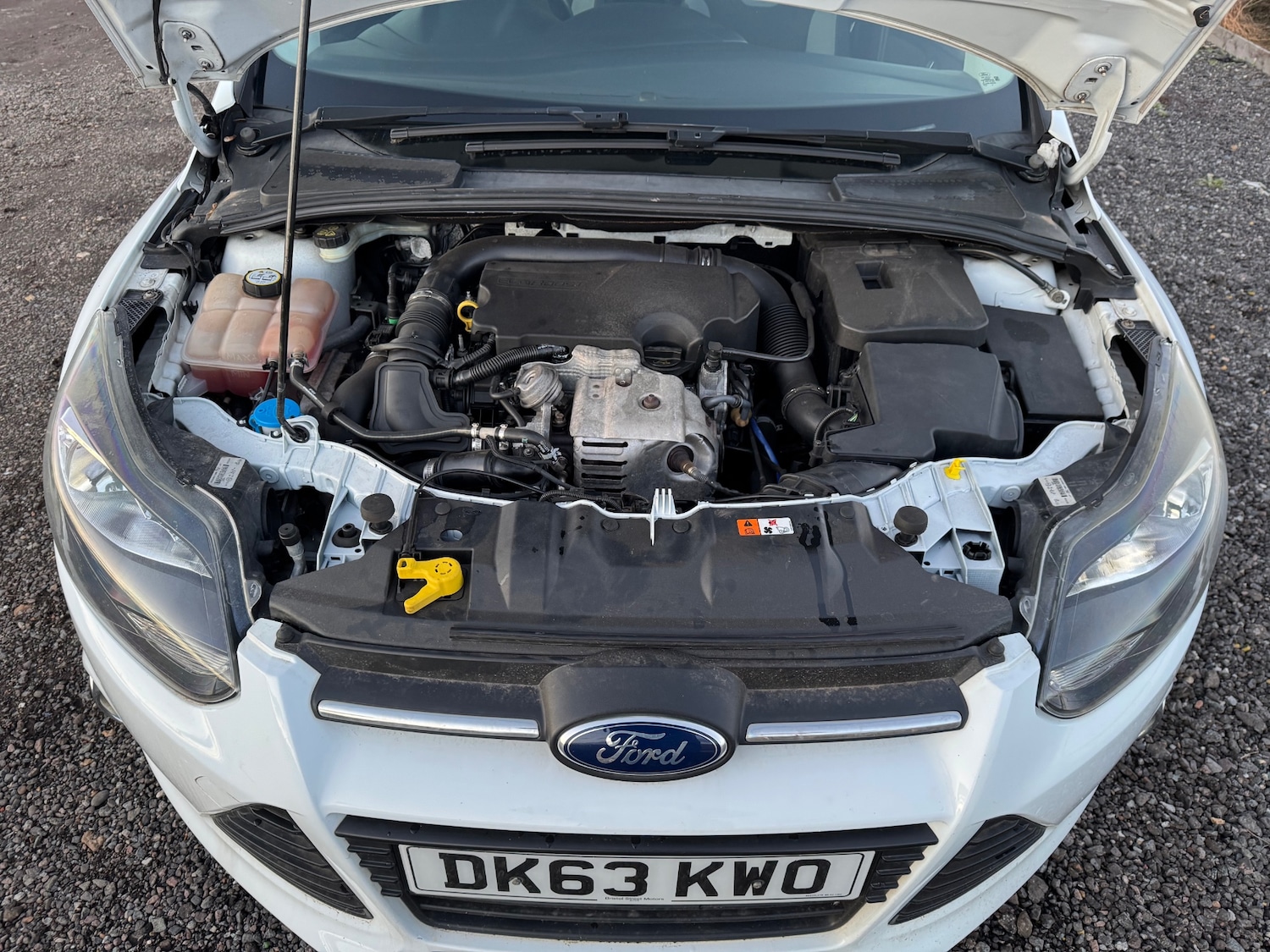 Used Ford Focus 2013 for sale - 76672239: Photo 25