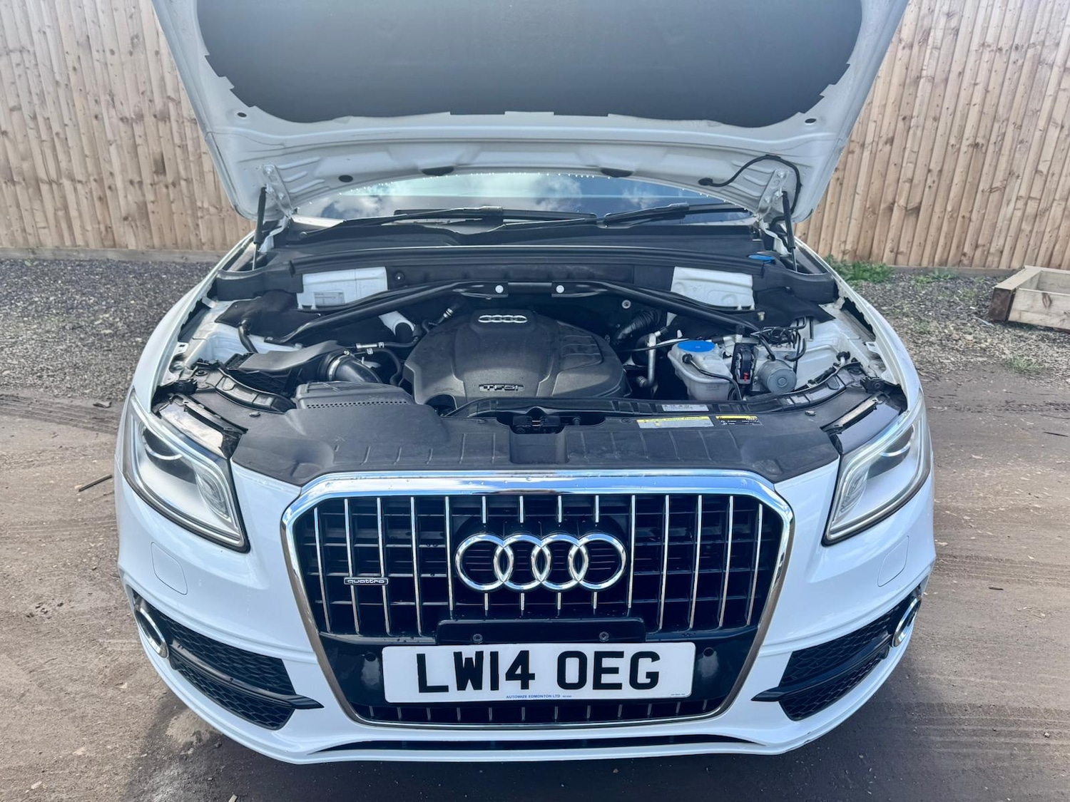 Used Audi Q5 2024 for sale - 78001064: Photo 26