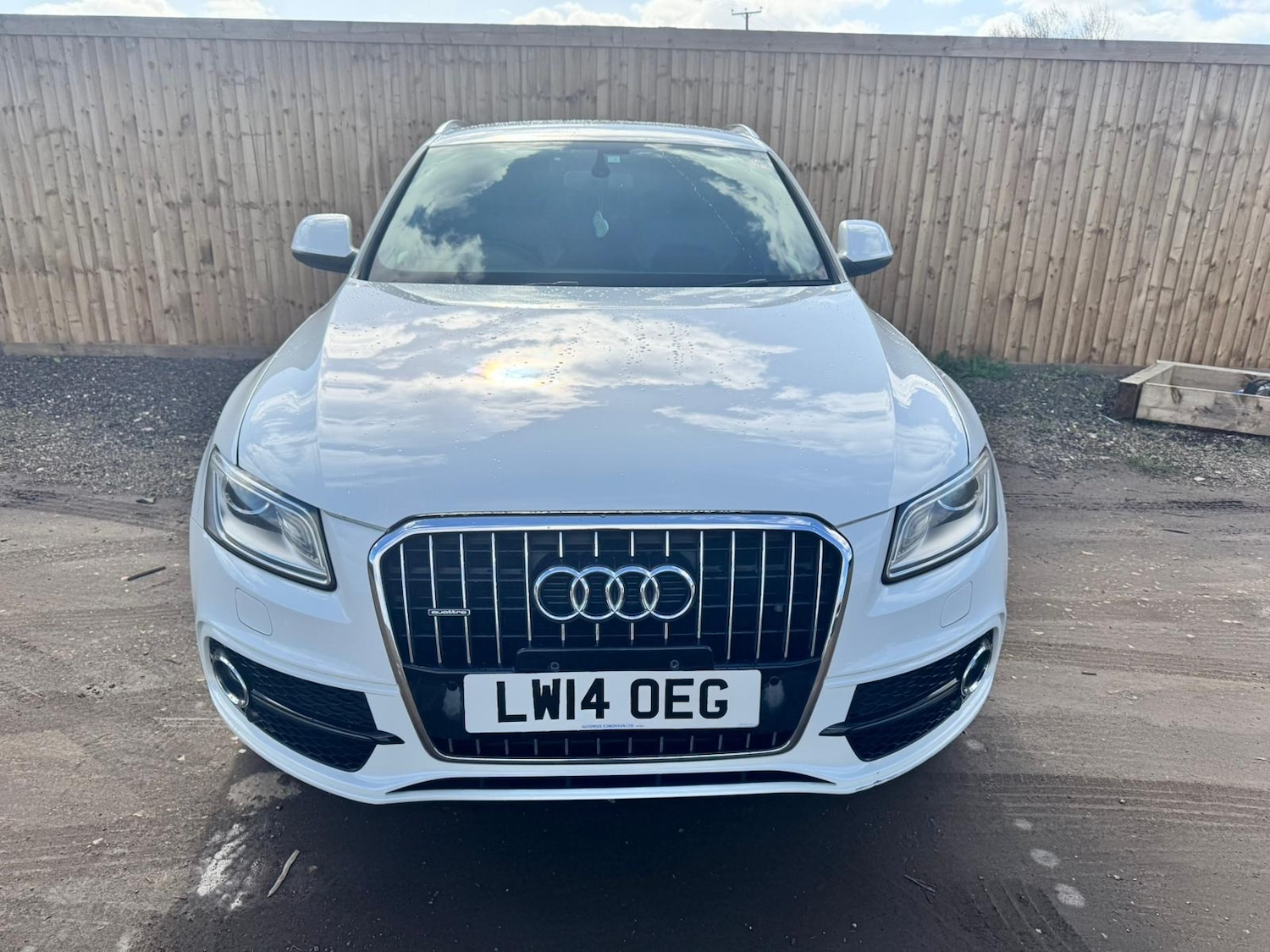 Used Audi Q5 2024 for sale - 78001064: Photo 3