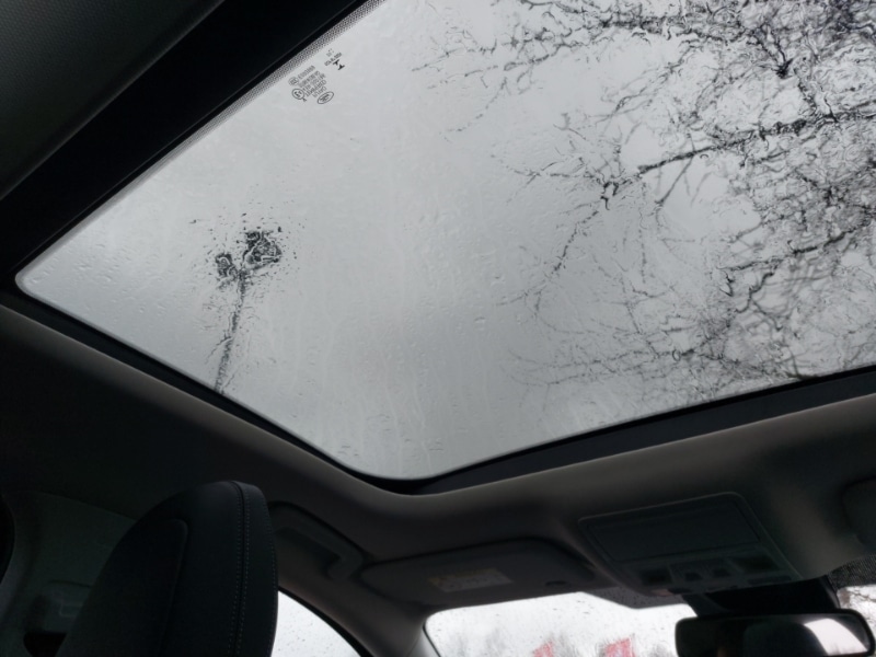 Used Ford Focus 2022 for sale - 77610908: Photo 11