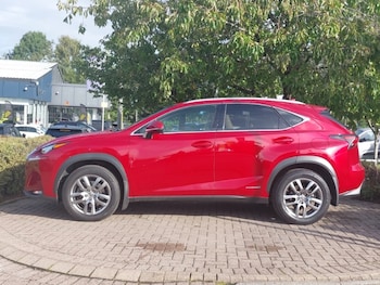 Used Lexus NX 2017 for sale - 75894325: Photo