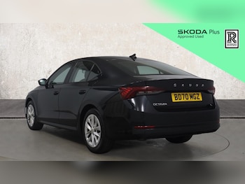 Used Skoda Octavia 2020 for sale - 78219697: Photo