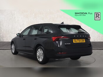 Used Skoda Octavia 2023 for sale - 77213616: Photo
