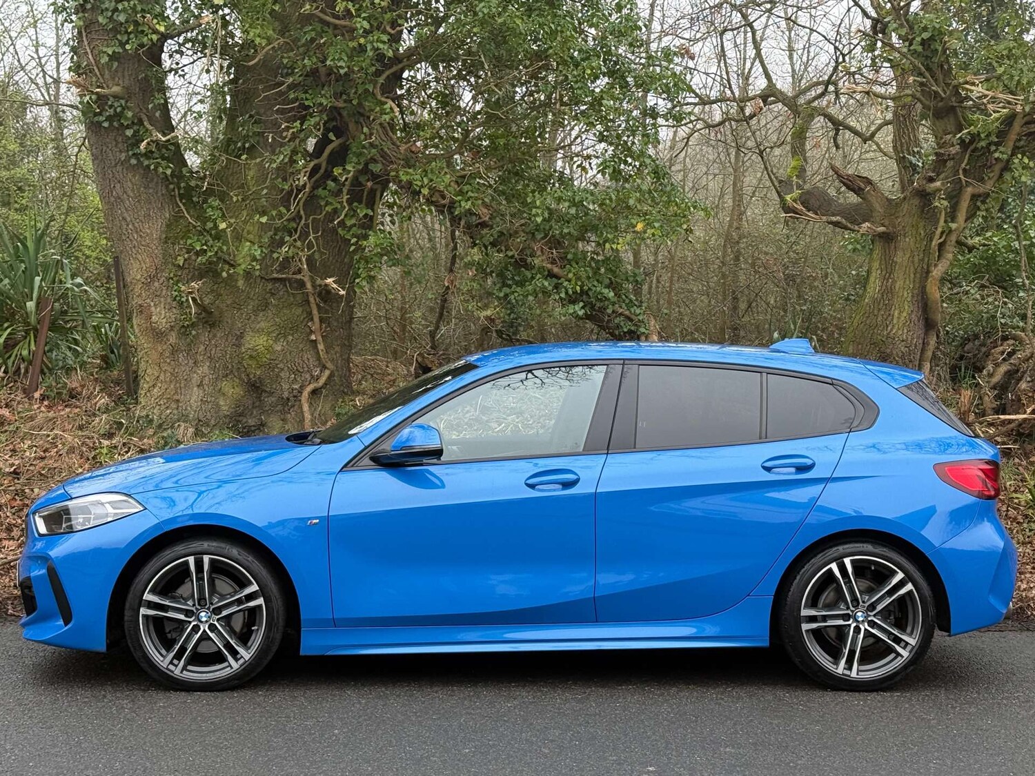 Used BMW 1 Series 2020 for sale - 77803624: Photo 19