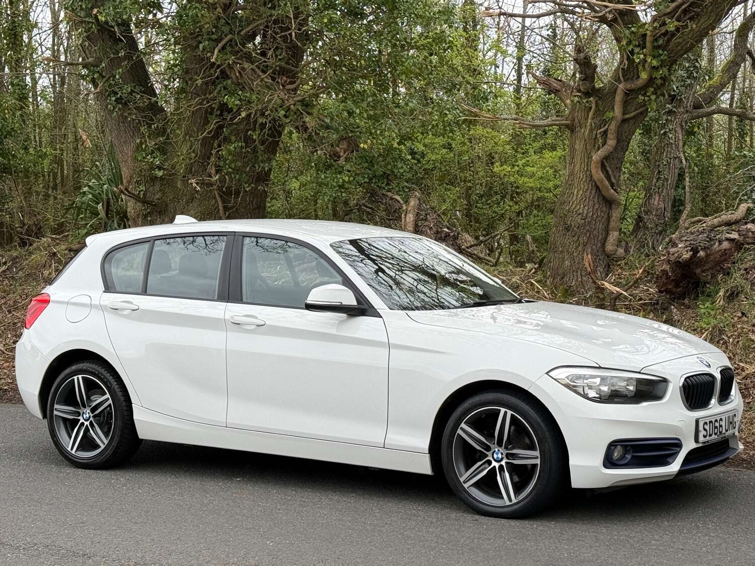 Used BMW 1 Series 2016 for sale - 78131946: Photo 13