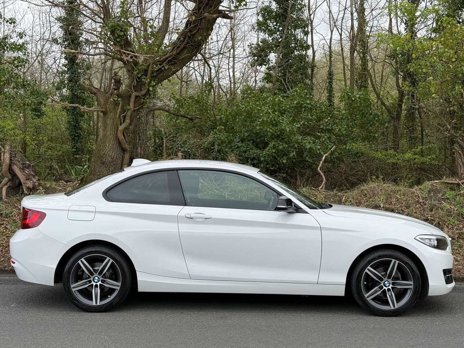 Used BMW 2 Series 2017 for sale - 78108379: Photo 16