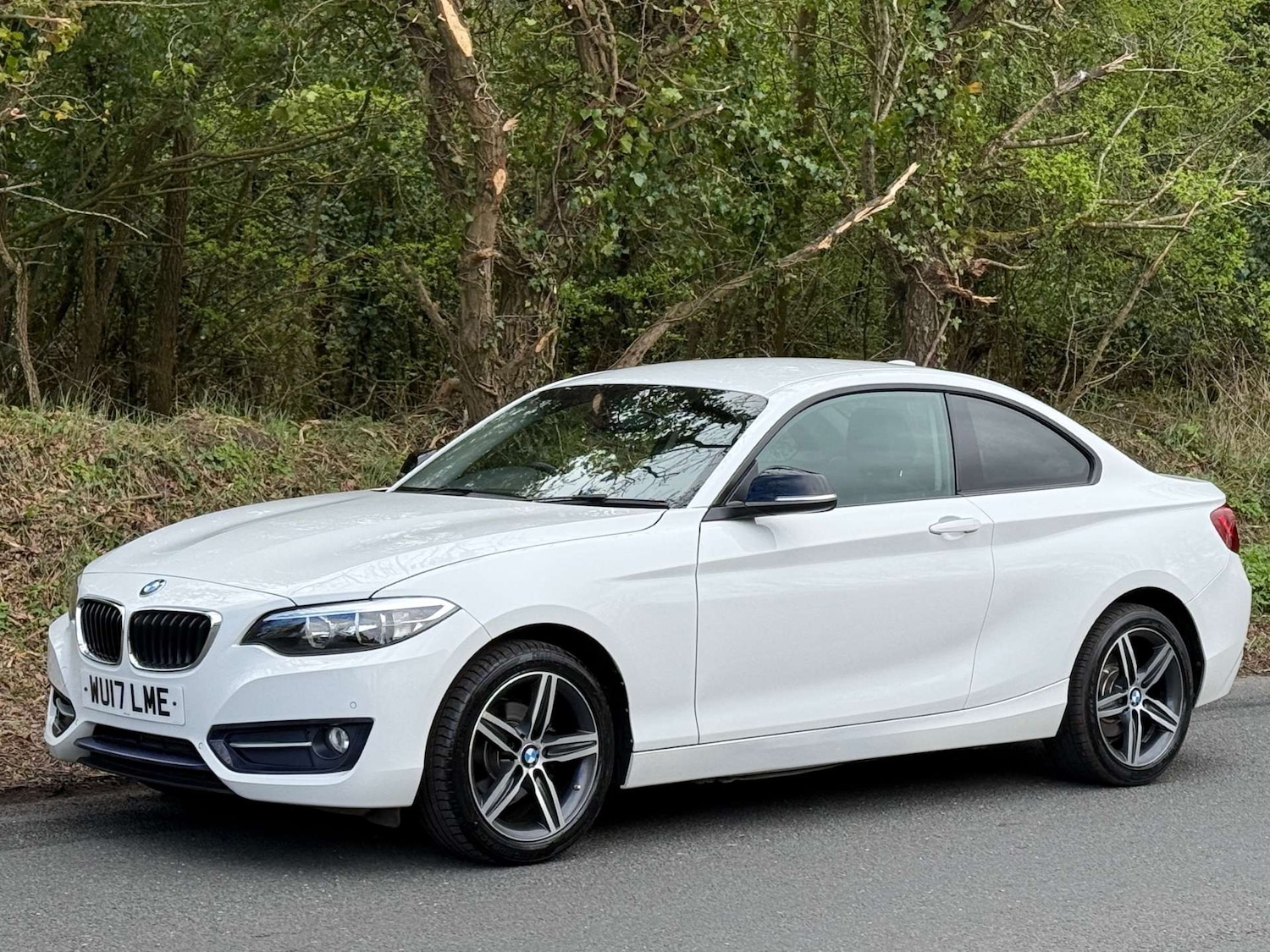 Used BMW 2 Series 2017 for sale - 78108379: Photo 29